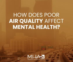 Air Quality and Mental Health